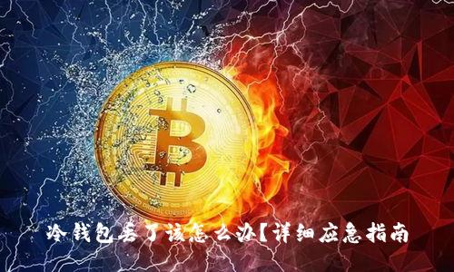 冷钱包丢了该怎么办?详细应急指南