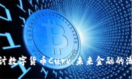 : 深入探讨数字货币Curv:未来金融的潮流引领者