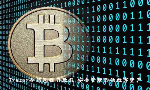 Trezor冷钱包操作教程:安全管理你的数字资产