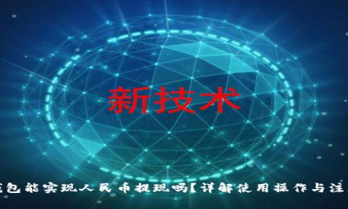 : TP钱包能实现人民币提现吗?详解使用操作与注意事项