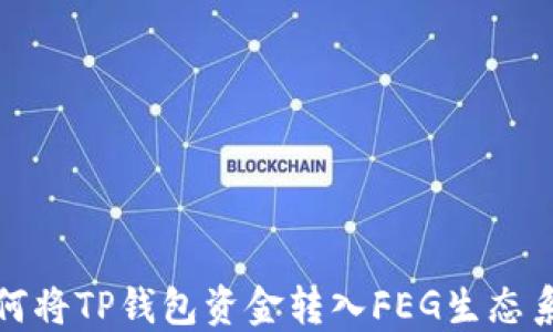 如何将TP钱包资金转入FEG生态系统