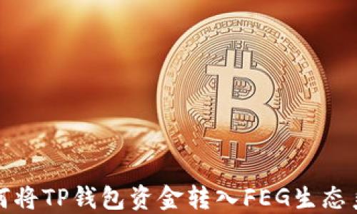 如何将TP钱包资金转入FEG生态系统