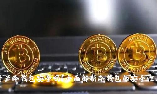 数字资产冷钱包安全吗?全面解析冷钱包的安全性与优劣
