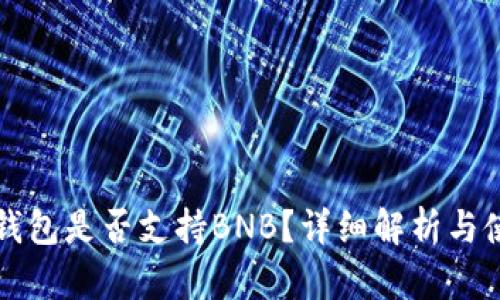比特派钱包是否支持BNB?详细解析与使用指南