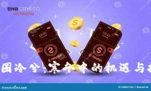  币圈冷兮：寒冬中的机遇与挑战