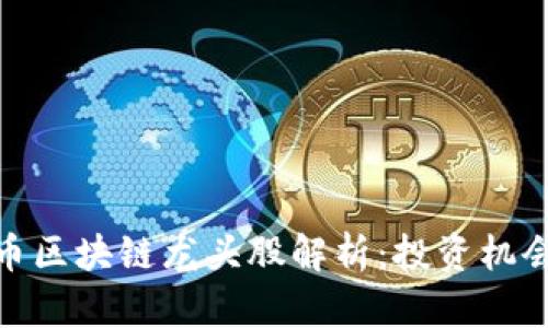 加密货币区块链龙头股解析:投资机会与风险