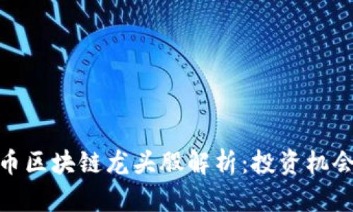 加密货币区块链龙头股解析:投资机会与风险