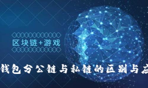 冷钱包分公链与私链的区别与应用
