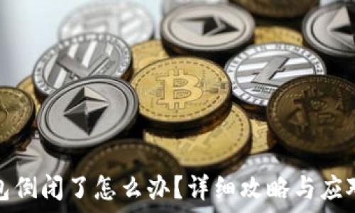  
TP钱包倒闭了怎么办？详细攻略与应对措施