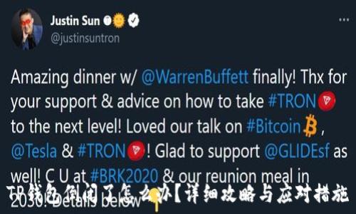  
TP钱包倒闭了怎么办？详细攻略与应对措施