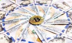 如何安全使用台子冷钱包