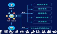 数字钱包币被盗后还能找