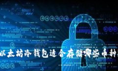 以太坊冷钱包适合存储哪