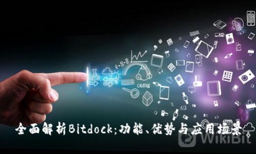 全面解析Bitdock：功能、优势与应用场景